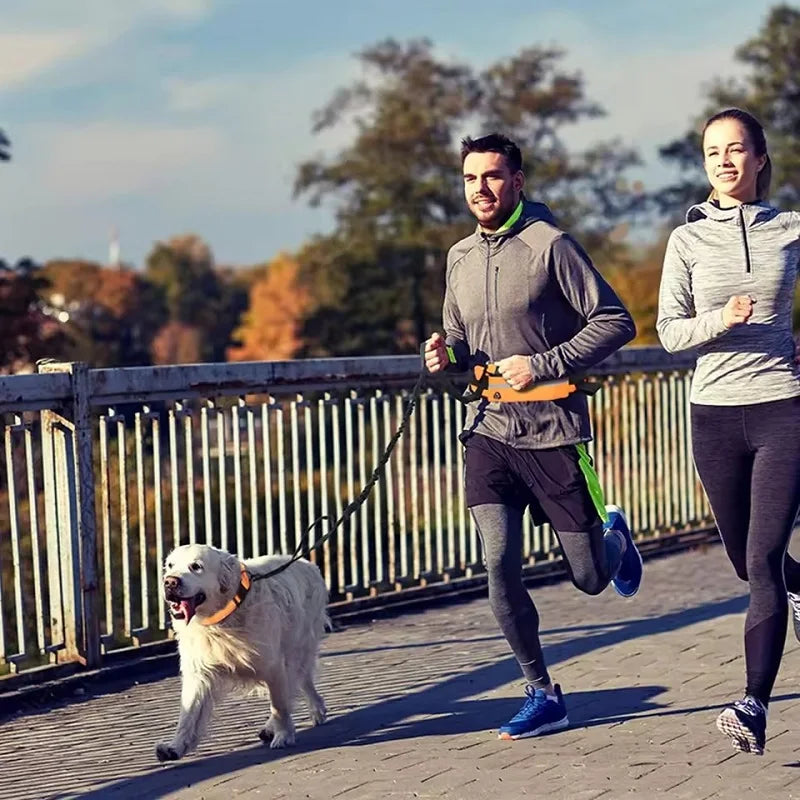 Laisse mains libres pour chiens
